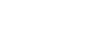 Blue Bee Intelligence - IBM Logo
