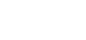 Blue Bee Intelligence - Jedox Logo