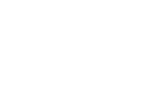 Blue Bee Intelligence - AWS Logo