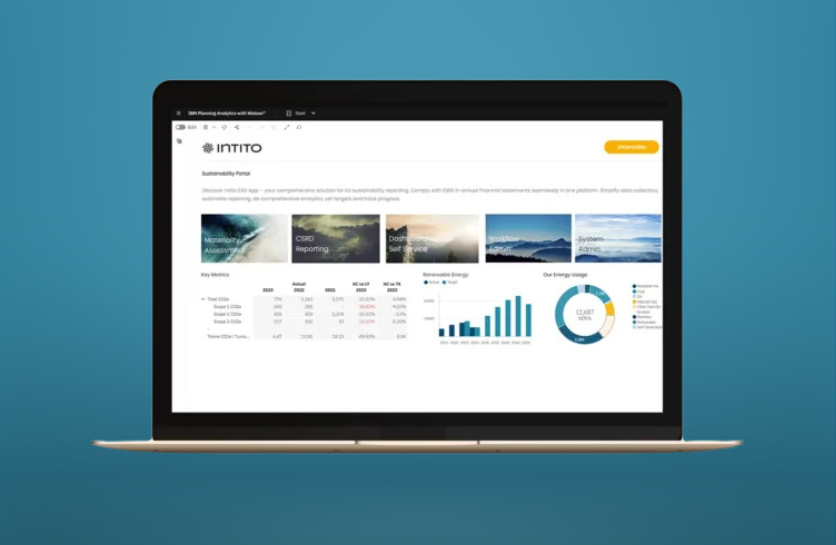 Blue Bee Intelligence - Intito Demo