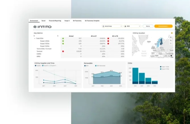 Blue Bee Intelligence - Intito Demo 2